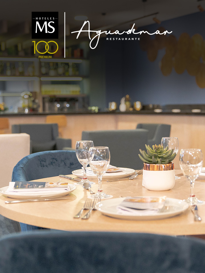 Hoteles MS y Restaurantre Aguademar