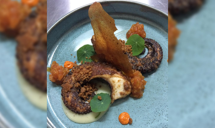 La Divina Pulpo Umani