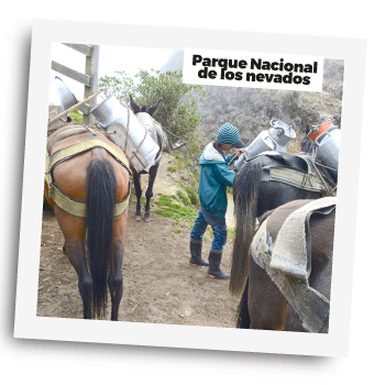 Instantáneas 2 - Colombia te tengo el plan - El País