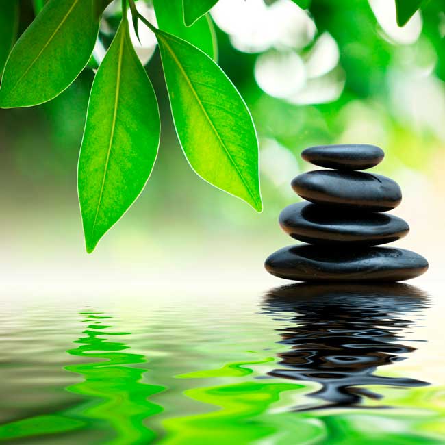 Medicina Tradicional