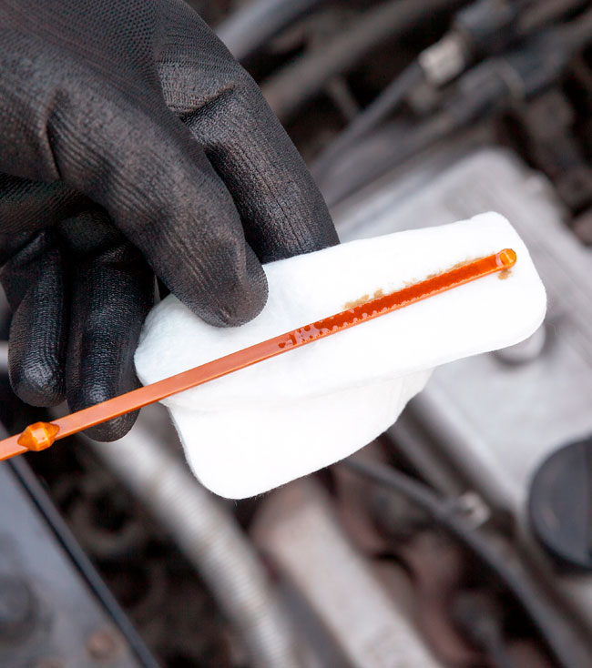 Lubricación y cuidados