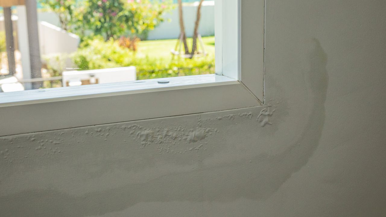 Cómo quitar la humedad de las paredes?