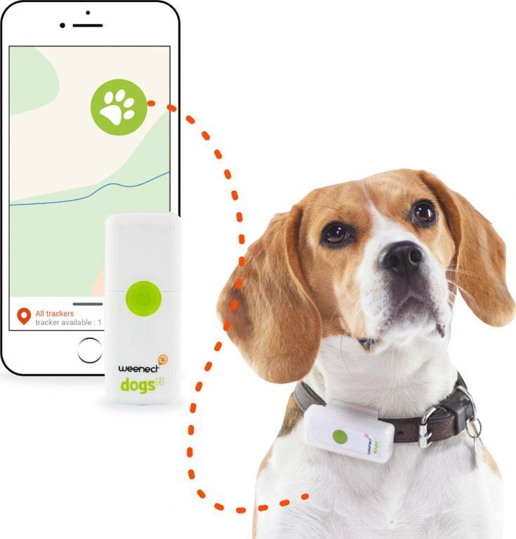 Con el GPS el dueño de la mascota podrá tener desde su celular el control sobre la ubicación del animal.

Foto: Pinterest