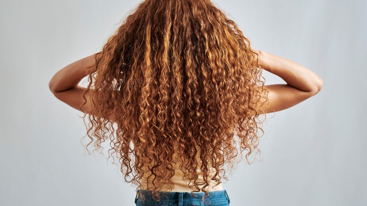 Woman with healthy, natural and ginger hair with relax curly, auburn or red beauty hairstyle back view. Shampoo salon hair care or redhead girl playing with clean red hair isolated on grey background