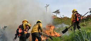 Los bomberos en el cerro de Cristo Rey, donde se registró un incendio forestal que afectó más de 20 hectáreas.