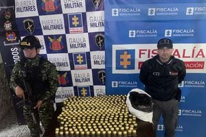 Este es el material incautado por las autoridades en una vivienda en el barrio Venecia, en Bogotá. Eran cerca de 295 
granadas.