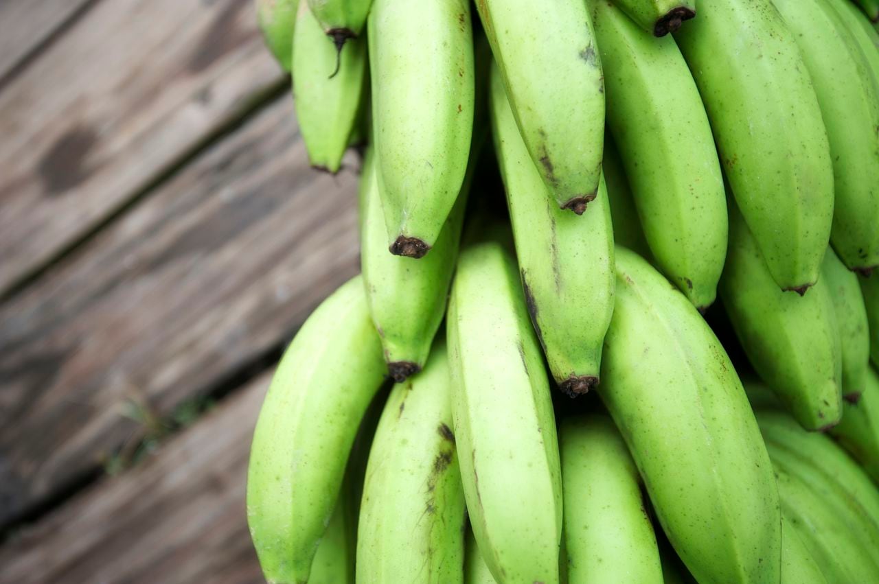 Un análisis detallado de los principios científicos detrás del proceso de maduración y cómo aplicar tácticas basadas en la ciencia para mantener los plátanos verdes en su estado óptimo.