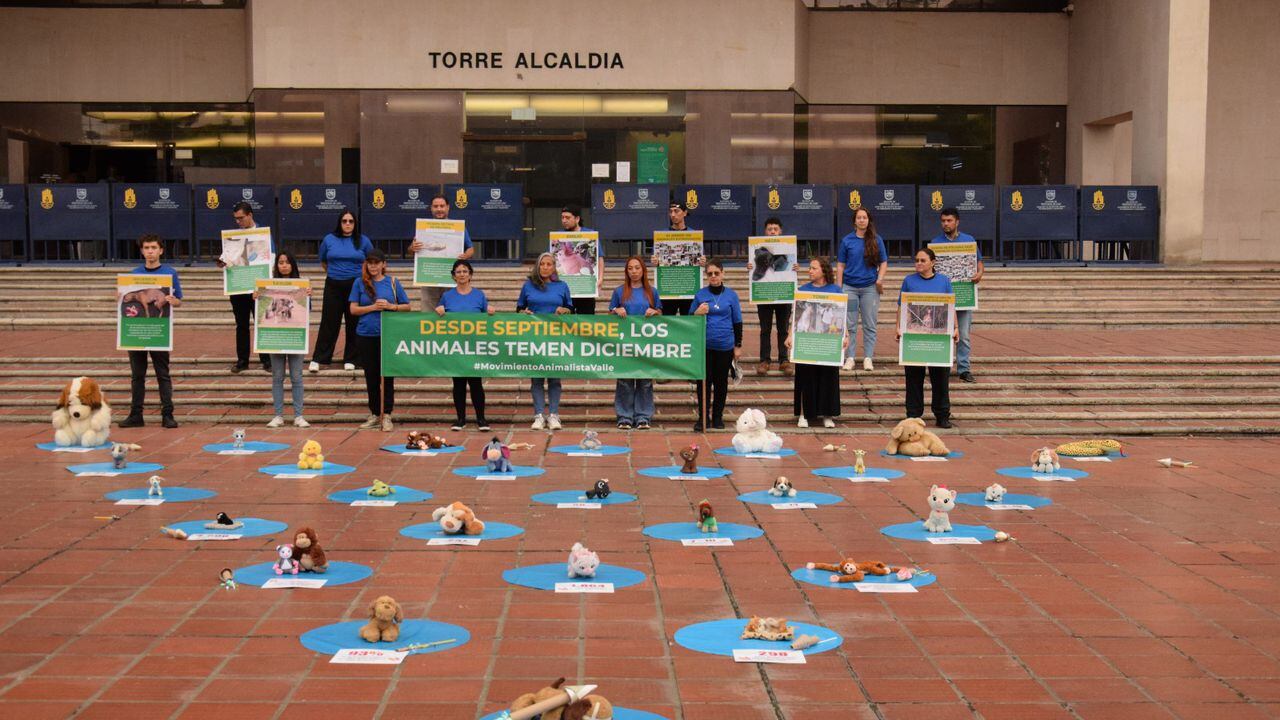 ‘Desde septiembre, los animales temen diciembre’: con protesta, Movimiento Animalista del Valle exigió a Alcaldía prevenir el uso, la venta y compra de pólvora en diciembre