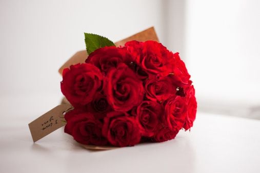 A pesar de su vida útil limitada en agua, las rosas cortadas siguen siendo un regalo apreciado y una forma hermosa de expresar amor, gratitud y cariño.