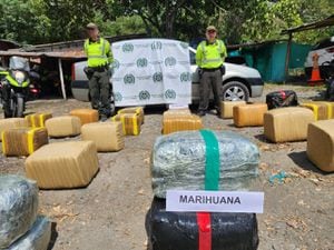Buscan a la persona que dejó abandonado un cargamento de marihuana en Caldas
