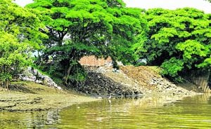 A las riberas del río Cauca también van a parar varios escombros, por cuenta de las personas que transportan estos elementos de manera ilegal.