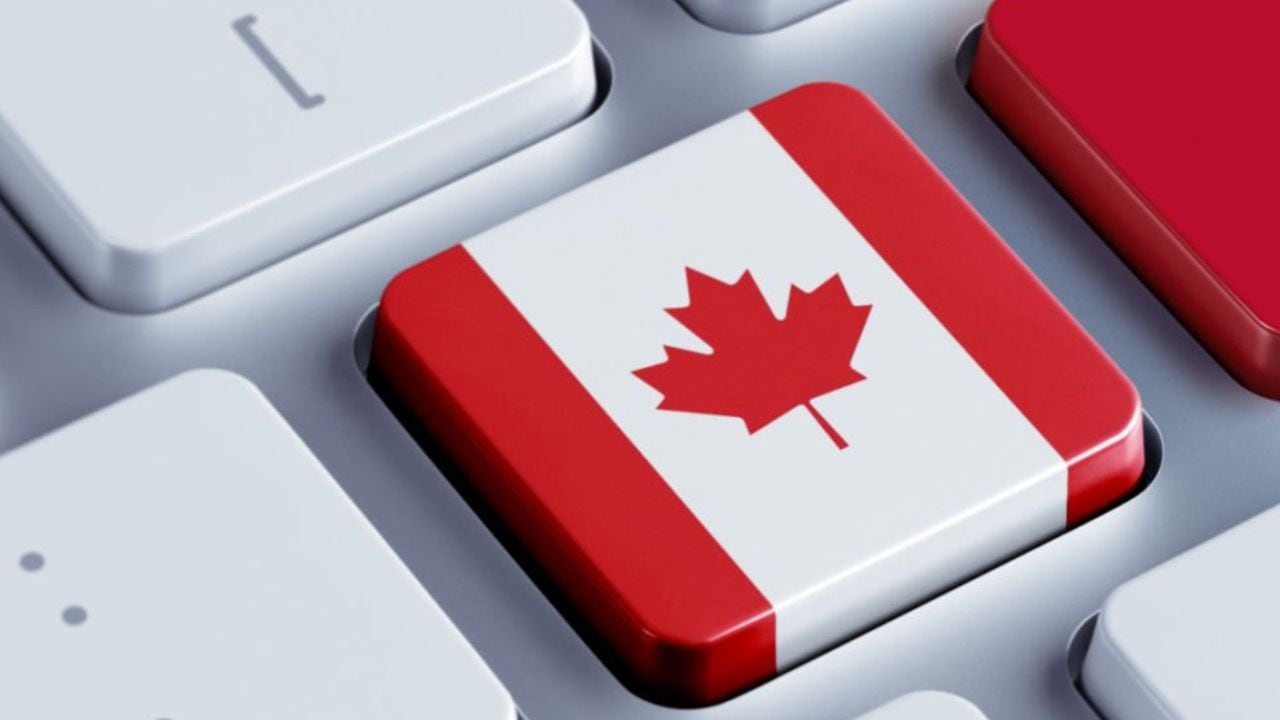 Hay cientos de empresas que aprovechan los beneficios del gobierno canadiense y ofertan puestos de trabajo a ciudadanos extranjeros.