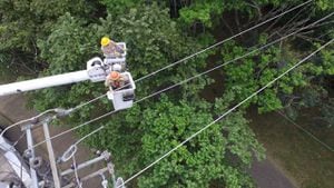 Actualmente, los grupos operativos de la Gerencia de Energía de Emcali instalan cables semiaislados que protegen las redes de choques con ramas de árboles y provocan interrupciones en el servicio.