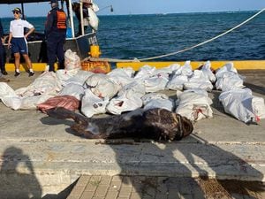 Cargamento con pesca ilegal descubierto en San Andrés.