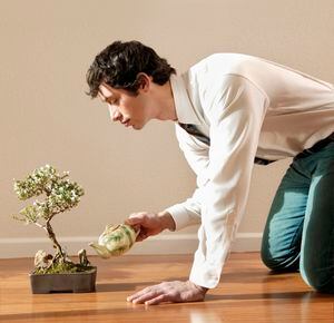 Cultivar la belleza en miniatura con los consejos para cuidar bonsáis en casa.