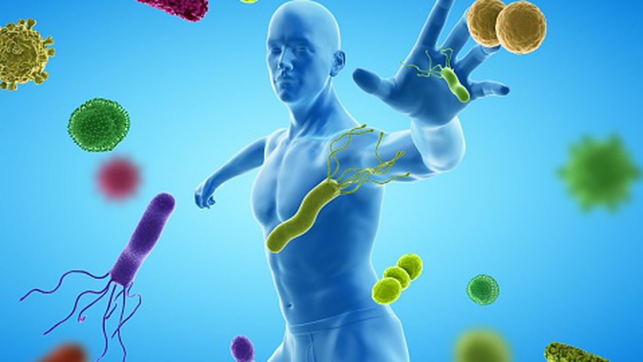 Immune system, conceptual computer illustration.