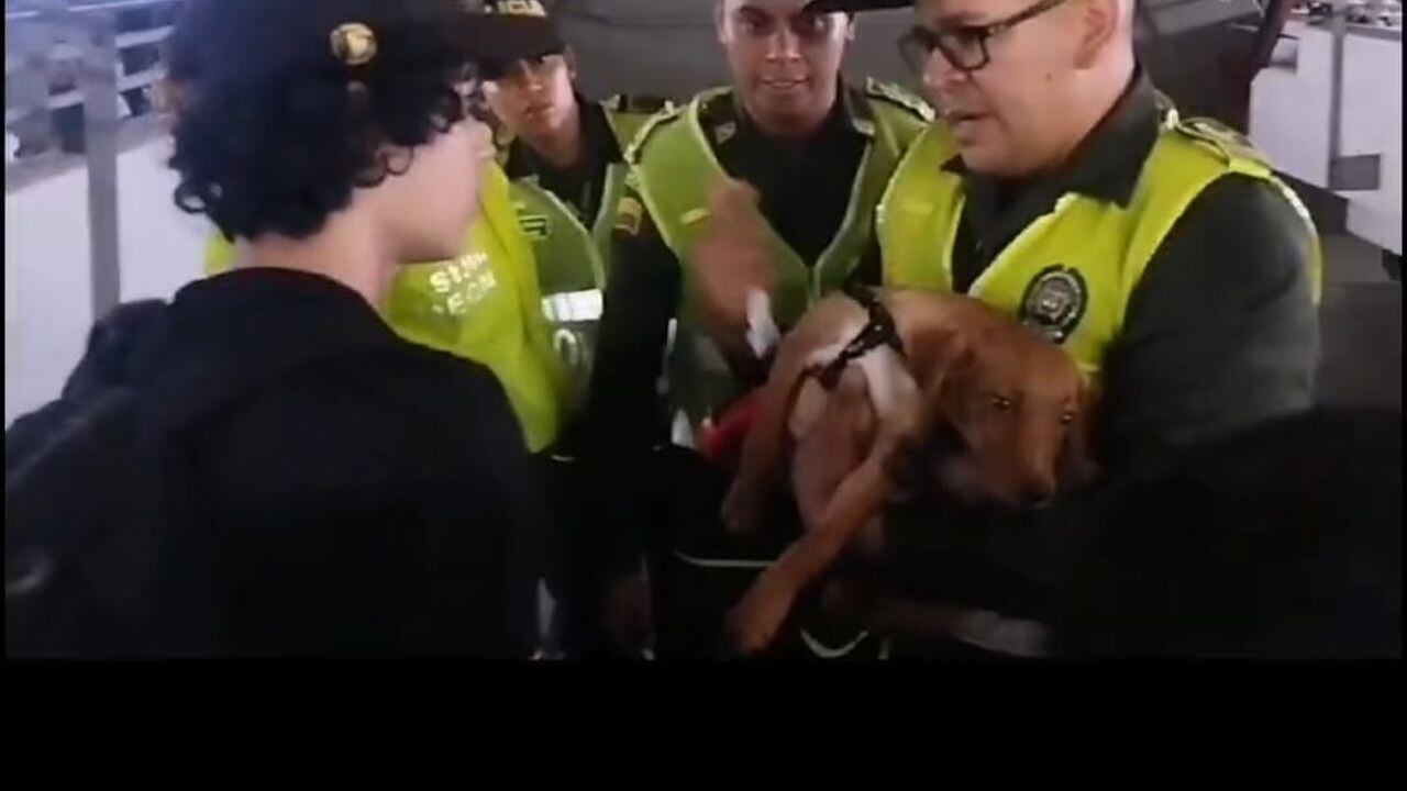 Policía Ambiental Cali rescató perro que quedó atrapado en la Terminal