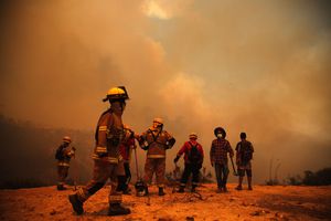 Los bomberos luchan por atajar las llamas. (Photo by Javier TORRES / AFP)