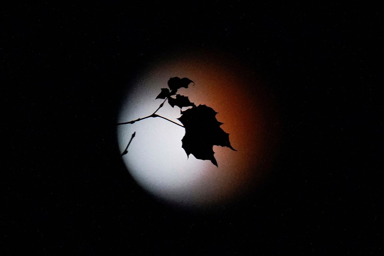 Las mejores imágenes que dejó el eclipse de luna.