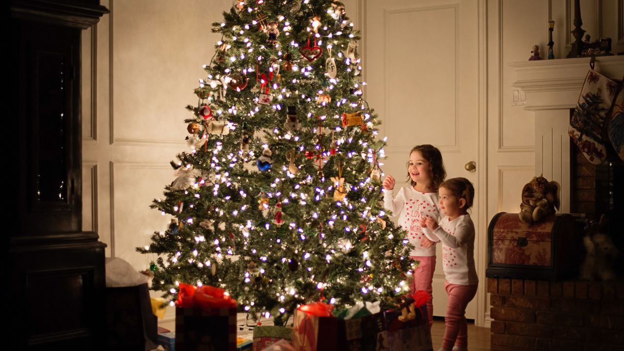 El árbol de Navidad es una tradición que prácticamente se vive en todo el mundo.