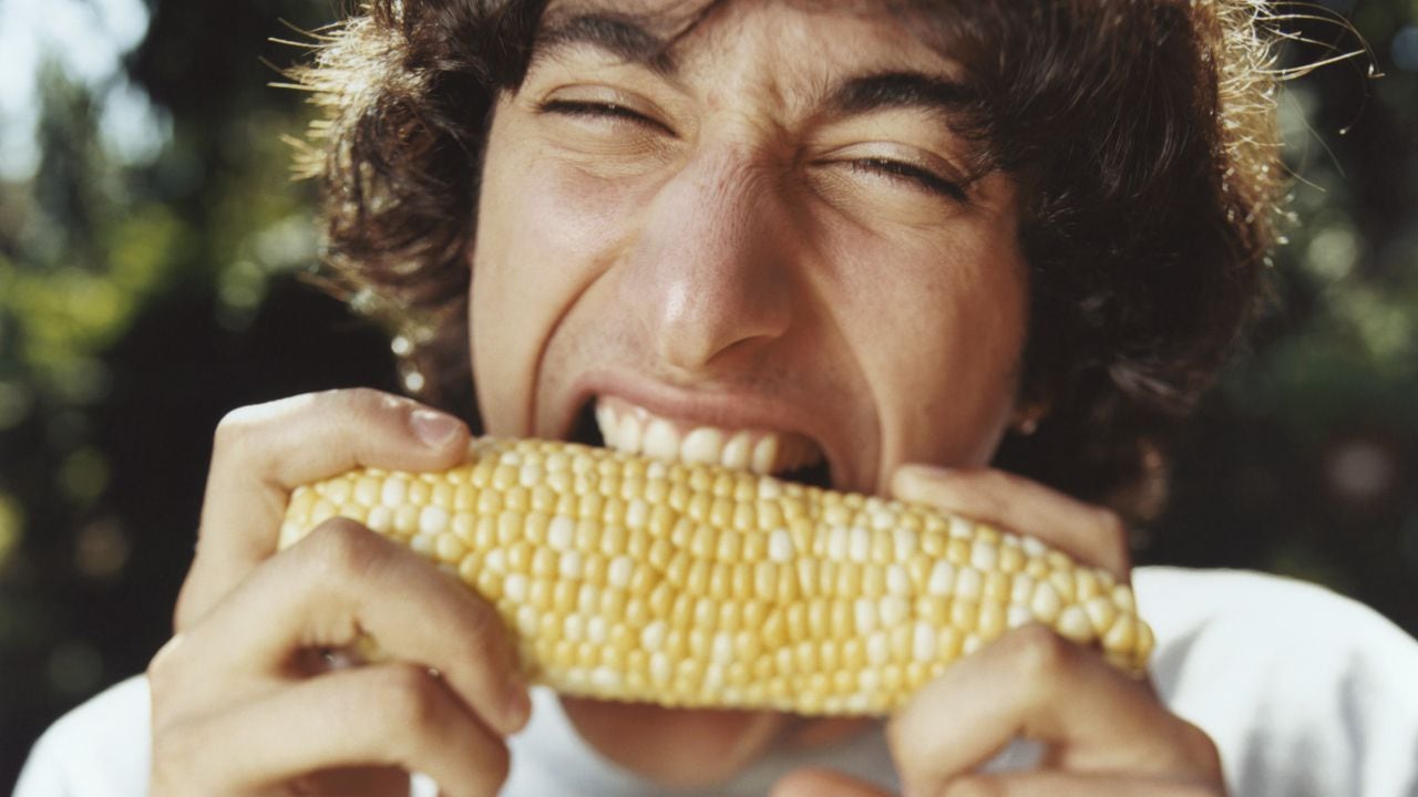 Maíz - Comer maíz
