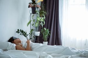 Sueño natural y tranquilo: las plantas imprescindibles en la habitación