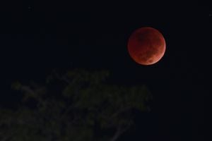 El color rojo no se le atribuye a la Luna, sino a la posición de esta con respecto al Sol y a la Tierra.