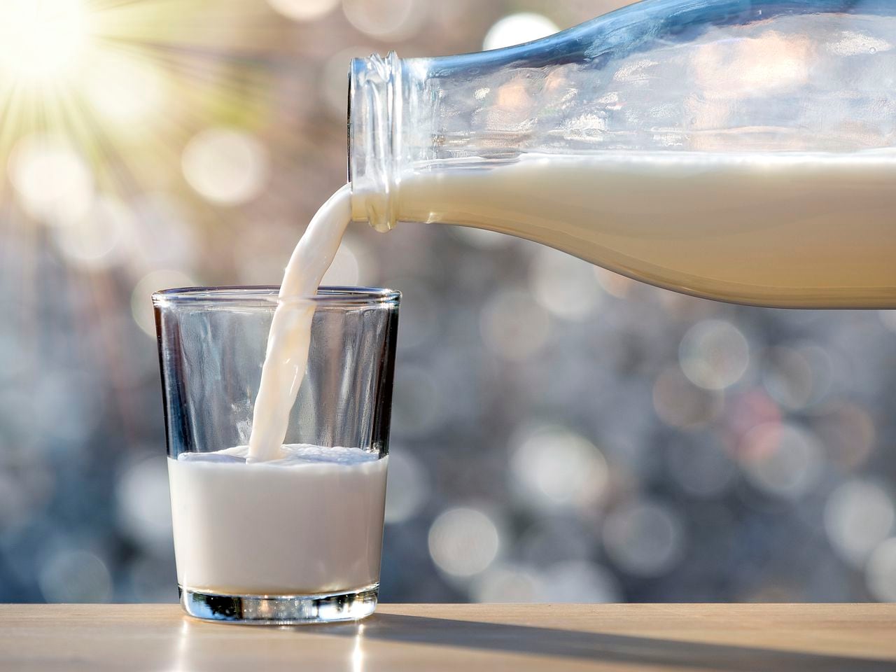 La leche es un alimento que está compuesto de grasa.