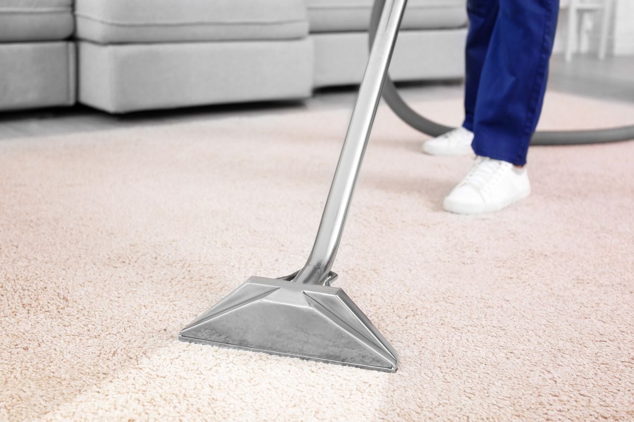 Este paso inicial establece las bases para una limpieza más profunda y efectiva de la alfombra sin recurrir al uso excesivo de agua.