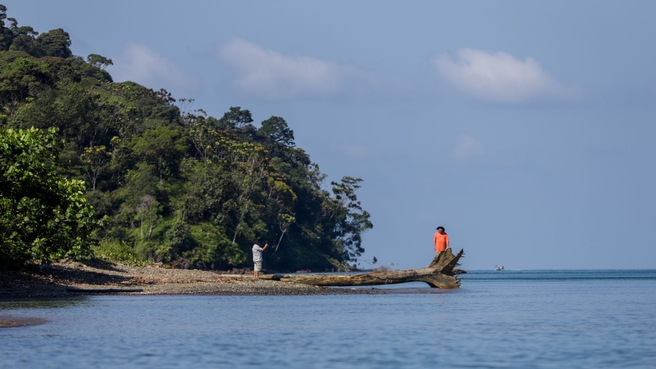 Gorgona es una isla ubicada a 28 km al oeste de la costa del Pacífico colombiano. Junto con Malpelo, son las únicas islas de Colombia en el océano Pacífico. Gorgona tiene una longitud de 9 km por 2,5 km de anchura, con una extensión de unos 26 km² aproximadamente de superficie.