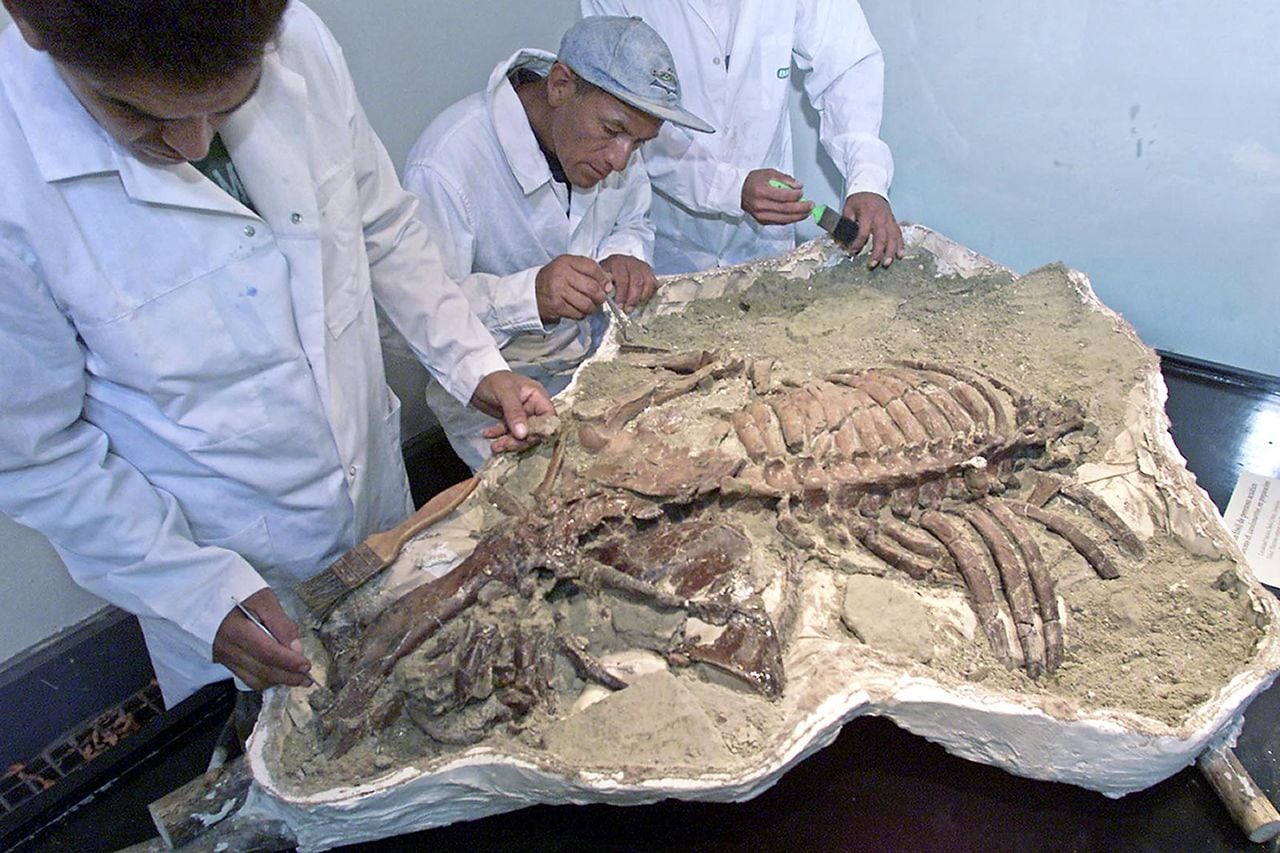 En Perú se han hecho grandes hallazgos arqueológicos y de fósiles.