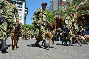 Así fue el desfile militar del 20 de julio en Cali, que recorrió la emblemática Avenida Sexta. Miles de caleños acompañaron el desfile militar.