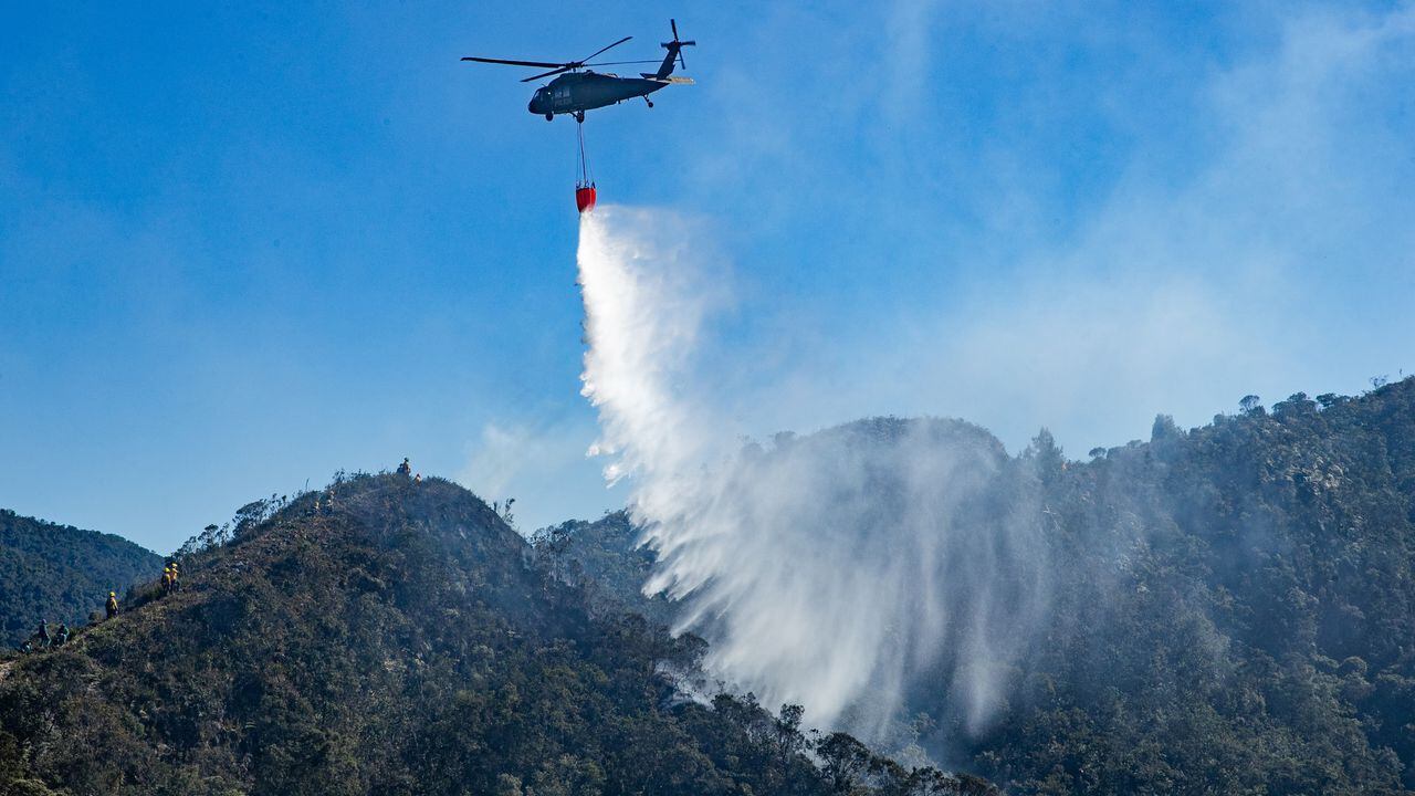 Según el Cuerpo de Bomberos de Bogotá, el incendio en los cerros orientales afectó cuatro hectáreas de bosque nativo.
