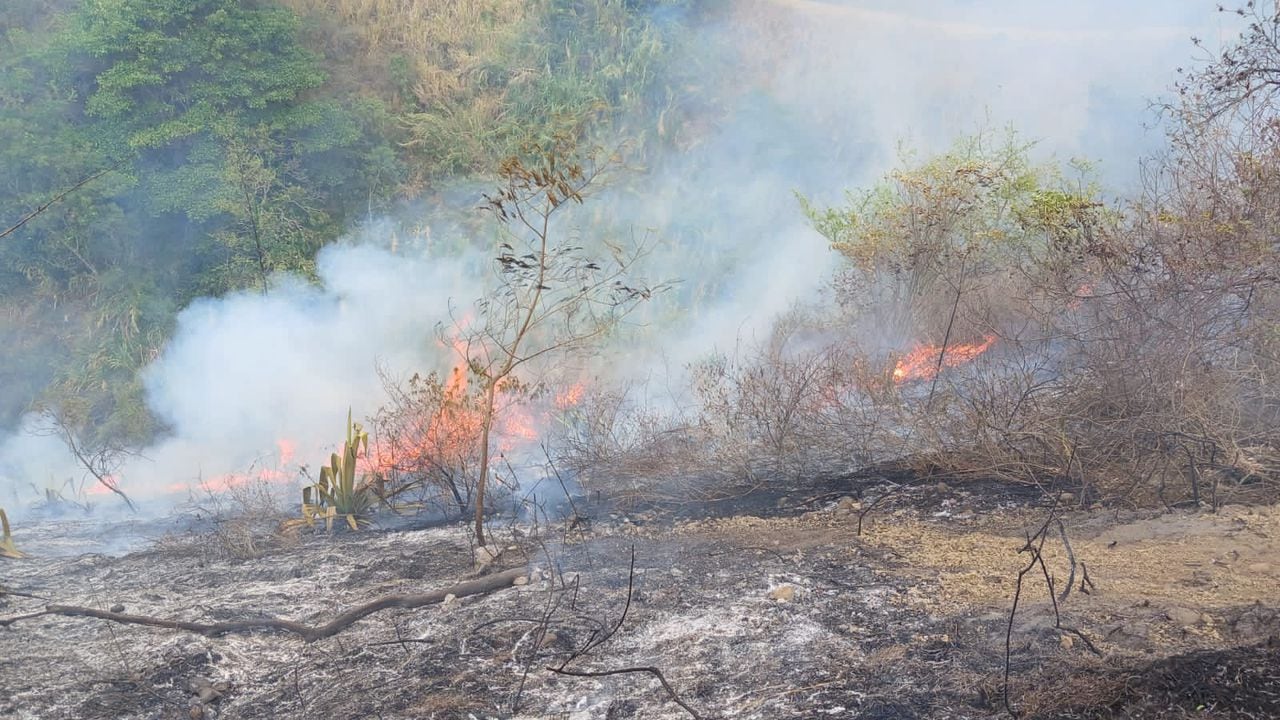 Incendio forestal que se presentó este sábado, 2 de marzo, en el municipio de Vijes.