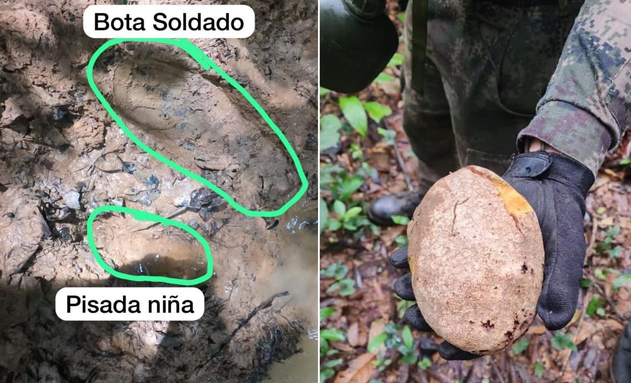 Las Fuerzas Militares hallaron nuevas pistas de supervivencia de los cuatro niños desaparecidos en selva entre Caquetá y Guaviare.
