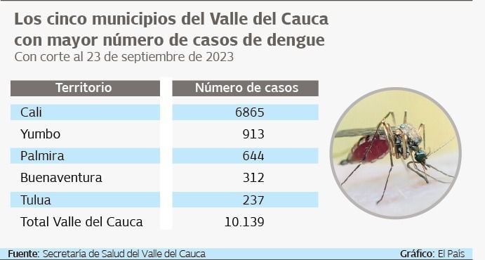 Estas son las cifras de los municipios con más casos de dengue en el Valle.