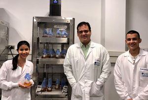 El semillero del programa de Ingeniería Bioquímica de la Universidad Icesi está liderado por el doctor Nelson Caicedo Ortega (al centro). Aquí, con los estudiantes Andrea Zapata y Esteban Charria.