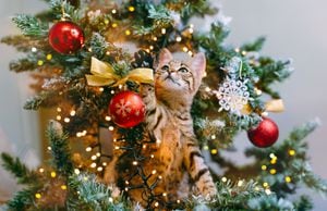 Evita que tu gato trepe a tu árbol de navidad con estos consejos.