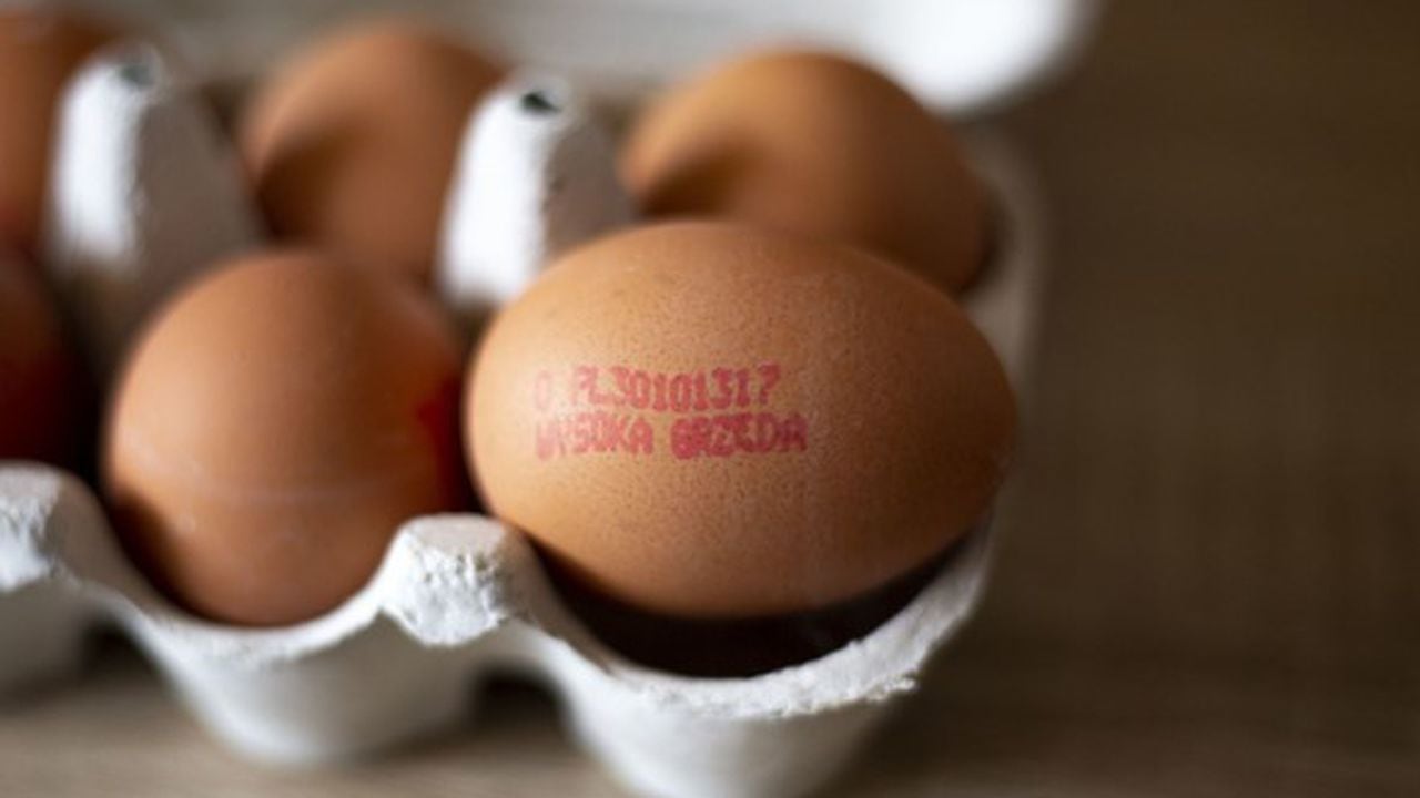Este tipo de información se puede encontrar en varios huevos del país.