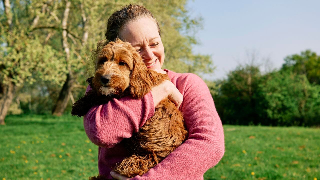 Leales merecedores de cuidado: Cinco cosas que nunca debe hacer a su mascota canina.