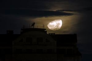 Los cielos colombianos se iluminarán con la presencia de la Luna Cuarto Menguante.