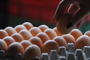 Según el gremio, la producción crecería 6,4 % este 2017. El Valle, líder  en el subsector del huevo.