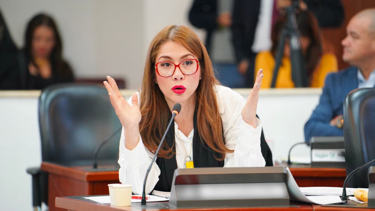 La congresista de Alianza Verde Catherine Juvinao denunció que, a pesar de las negociaciones de paz, el país ha retrocedido en materia de seguridad.