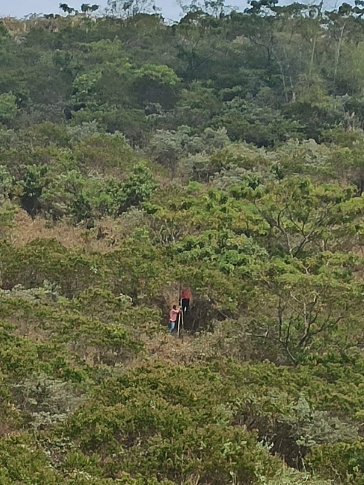 En las imágenes, tomadas por la comunidad, se ve a los sujetos cortando los árboles del Parque Natural Bataclán.