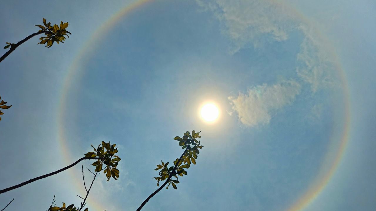 Halo solar
Este fenómeno atmosférico se produce cuando la luz del sol atraviesa diminutos cristales de hielo que se encuentran suspendidos en la parte alta de la atmósfera de la Tierra, lo que produce que la luz solar se disperse de una manera peculiar y de lugar a la formación de un aro de colores (similar a un arco iris) .