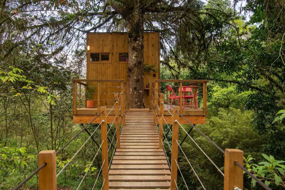 La casa en el árbol más espectacular de Colombia. (Sasaima, Cundinamarca).