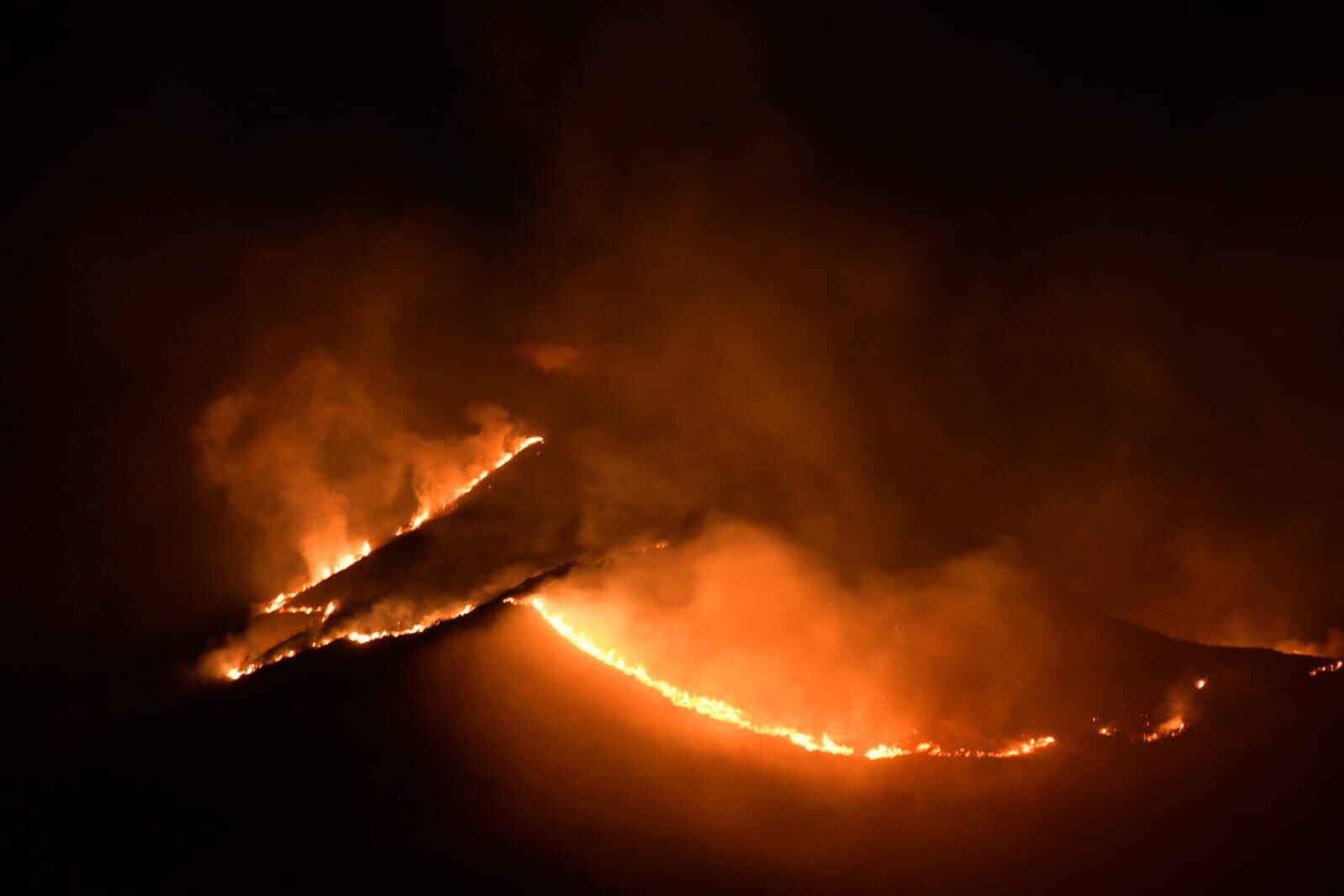 El incendio forestal se registró en el sector de la vereda Limones en la Castilla.