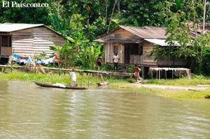 Las comunidades aledañas al río Naya, en zona rural de Buenaventura, son las más afectadas con el brote de malaria.