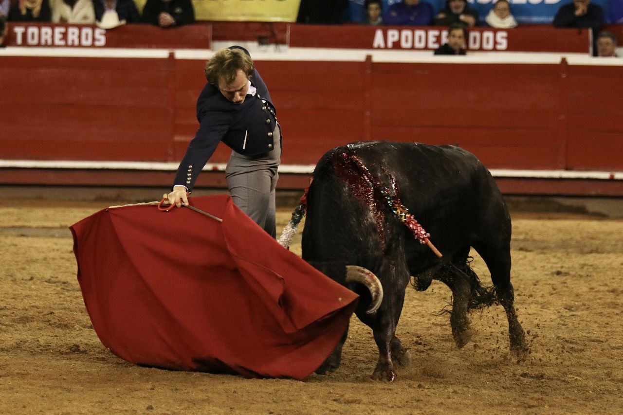 El torero español Román Collado, durante su actuación en el Festival Taurino de Manizales, el 5 de enero de 2023. Foto: Bryan Santiago Grisales Chica - Cormanizales.