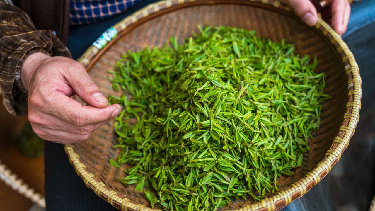 El consumo regular de té verde podría prevenir algunos tipos de cáncer.